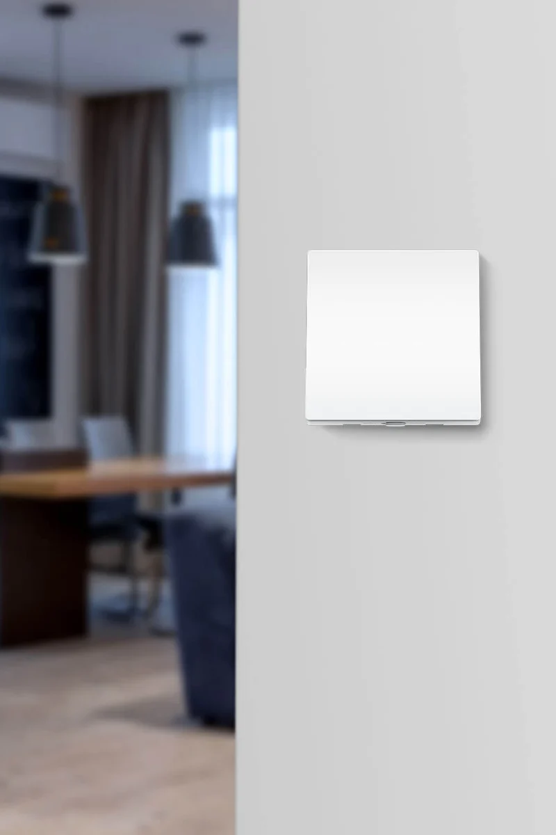 Interrupteur Connecté Domotique - Tapo S210