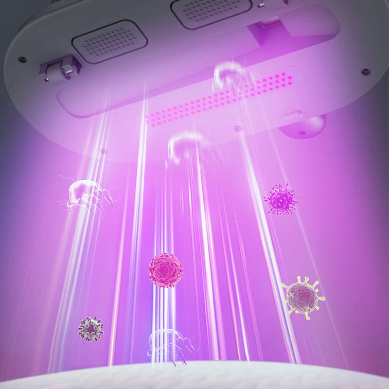 Kabelloser Matratzenreiniger | 10000 Pa Bettsauger mit UV-C-Licht, Vibration und 185-ml-Staubbehälter