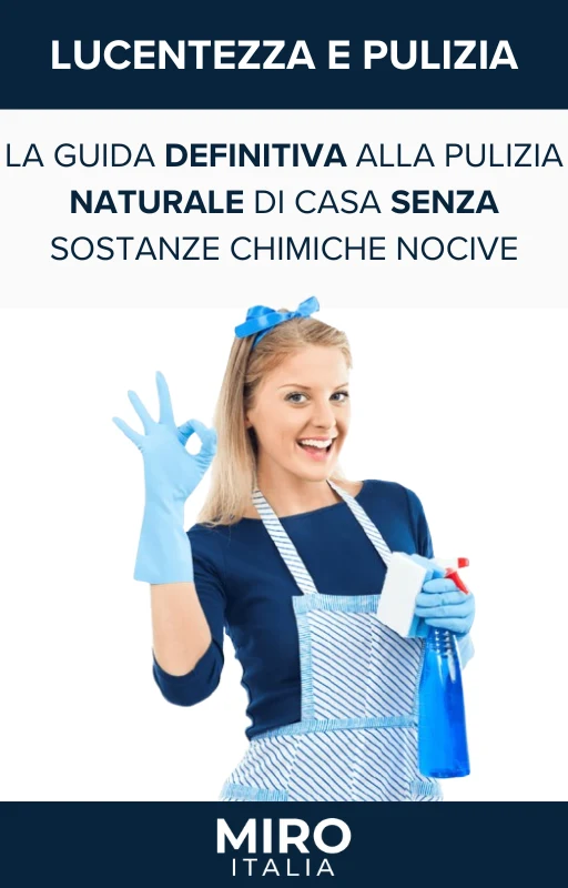 La guida definitiva alla pulizia della casa