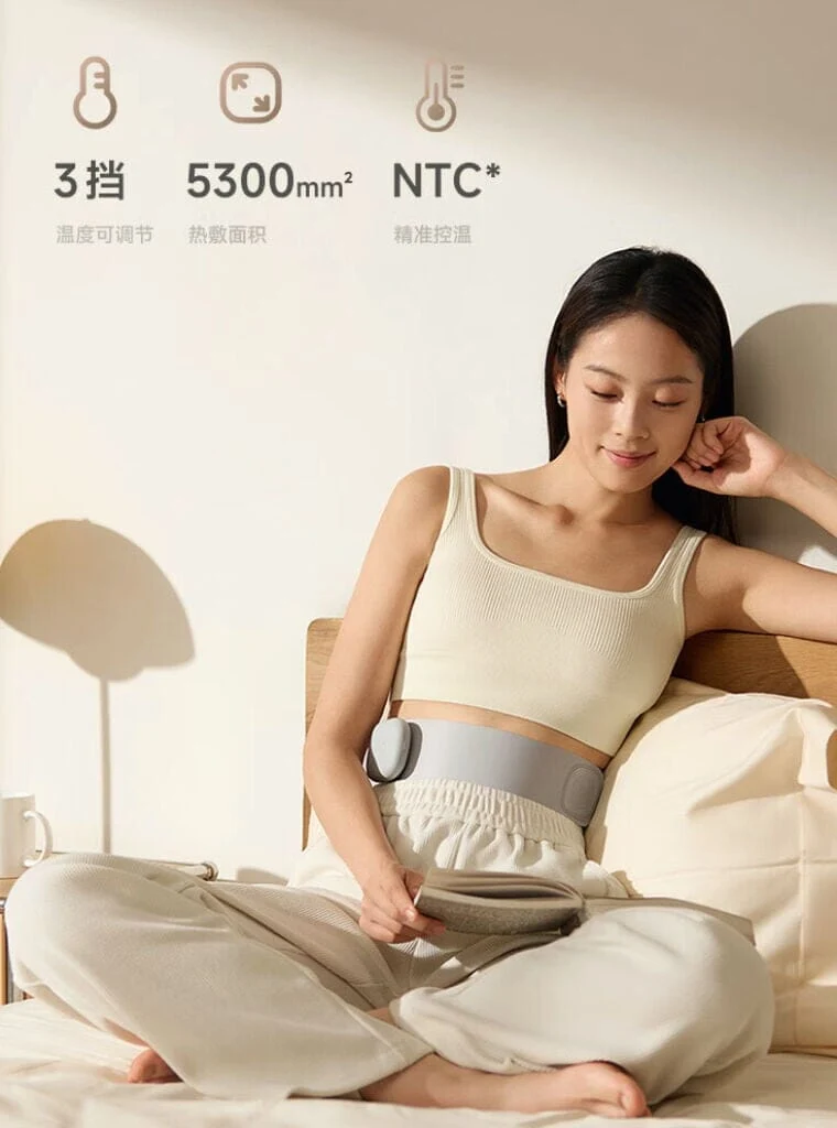 Xiaomi Mijia Smart Waist Massager EMS Edition