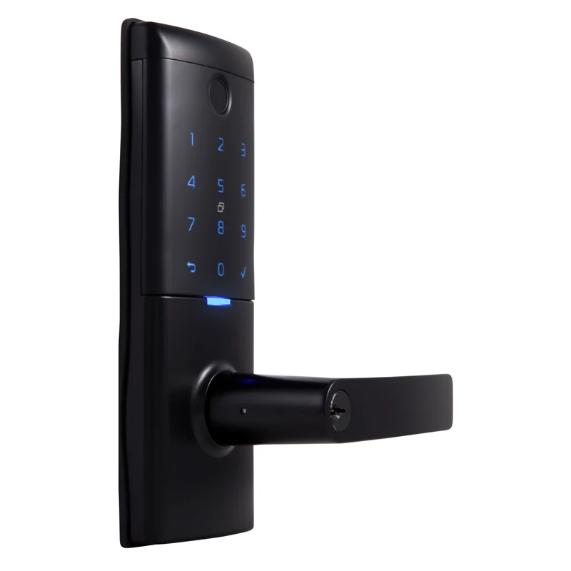 Gainsborough Mode Smart Entrance Lever (Matte Black)