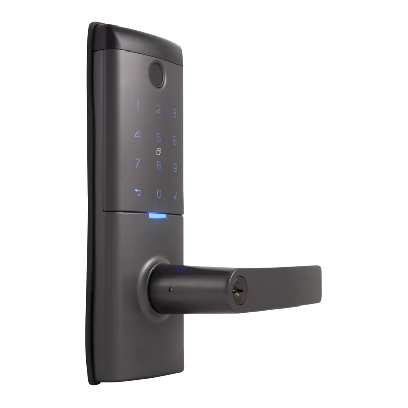 Gainsborough Mode Smart Entrance Lever (Graphite)