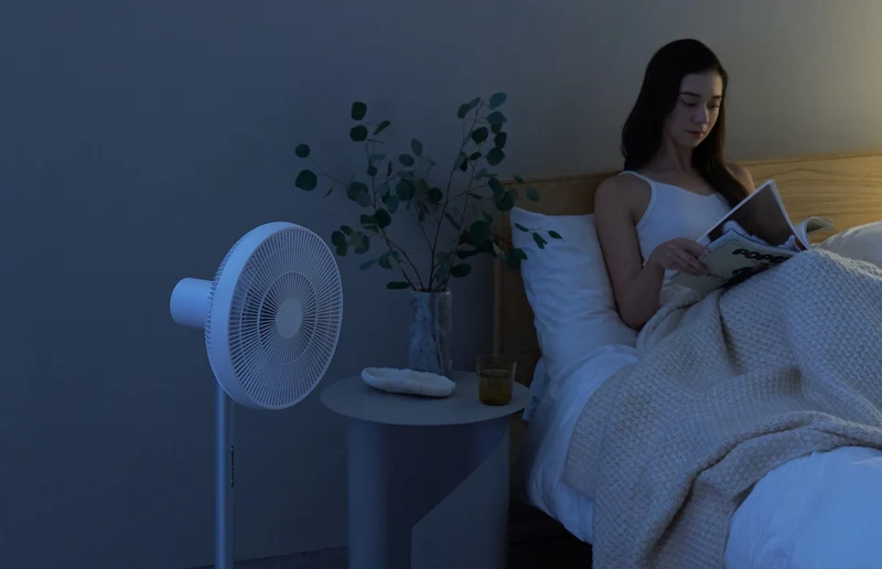 Xiaomi SmartMi Standing Fan 3