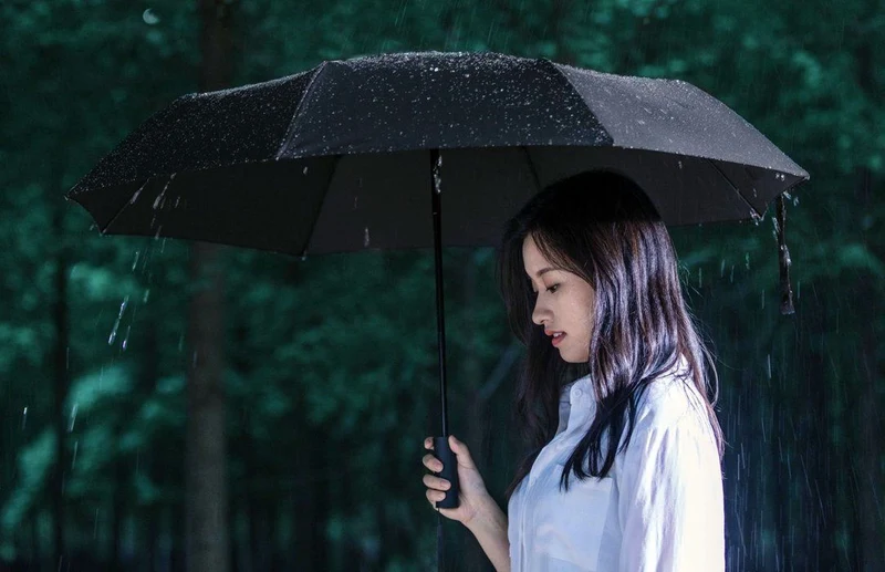Xiaomi Mijia Automatic Umbrella