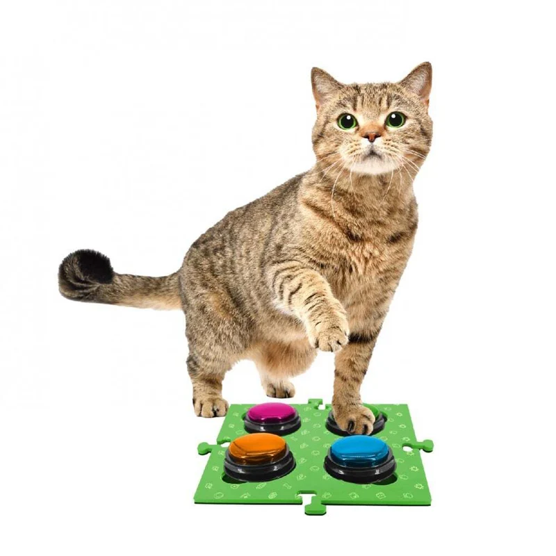 Tech4Pets 2PK Mat Board Organiser Storage Holder For Talking Buttons/Floor Green