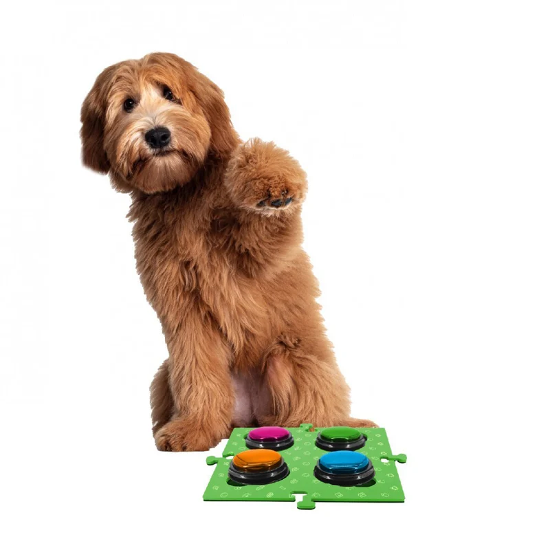 Tech4Pets 2PK Mat Board Organiser Storage Holder For Talking Buttons/Floor Green