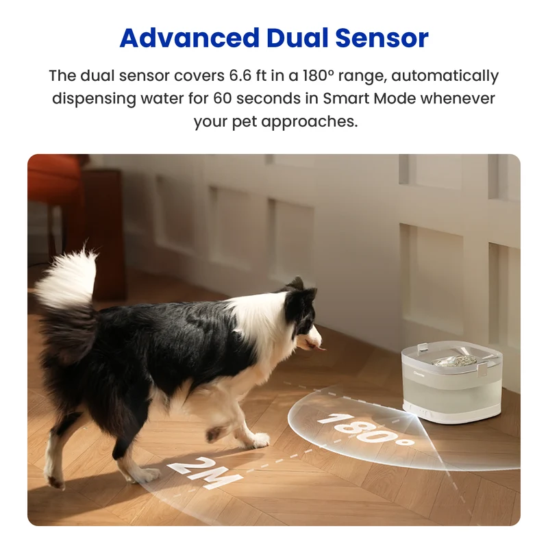 Cheerble D1 Pro 4L Wireless Smart Pet Water Fountain