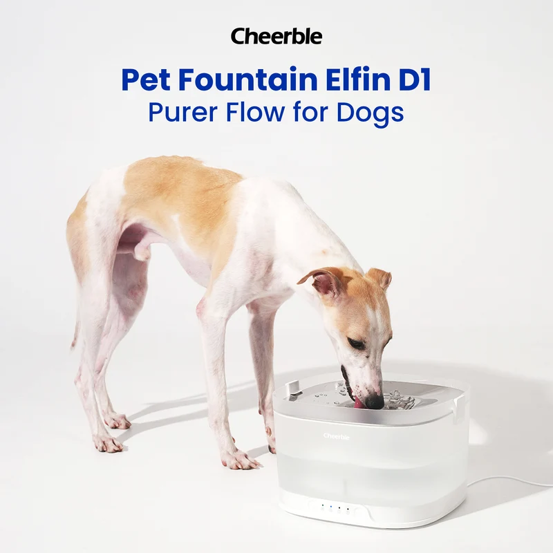 Cheerble D1 4L Automatic Pet Water Fountain