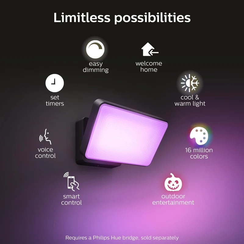 Philips Hue Outdoor Discover Flood Light