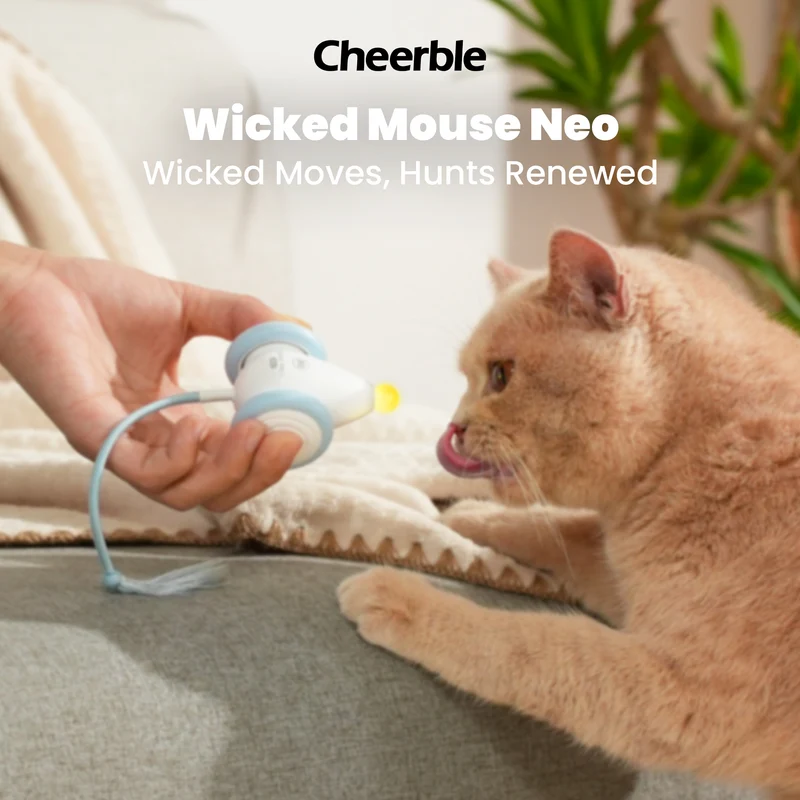 Cheerble Wicked Mouse Neo - Arctic Blue