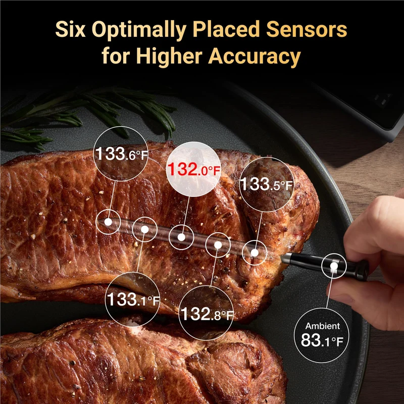 Typhur Sync Dual Wireless 2 Probe Meat Thermometer