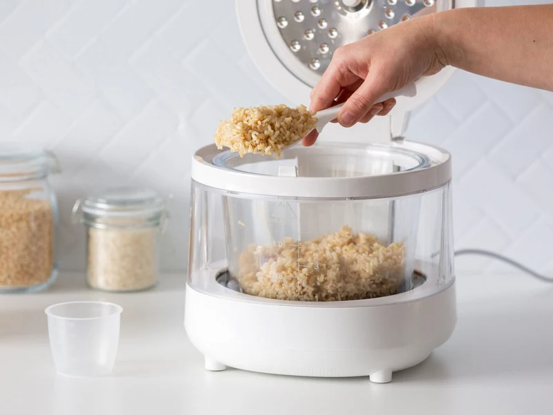 Healthy Choice PFAS Free 5 Cup Glass Rice Cooker with Low Sugar Basket 600W