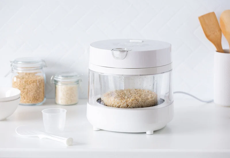 Healthy Choice PFAS Free 5 Cup Glass Rice Cooker with Low Sugar Basket 600W