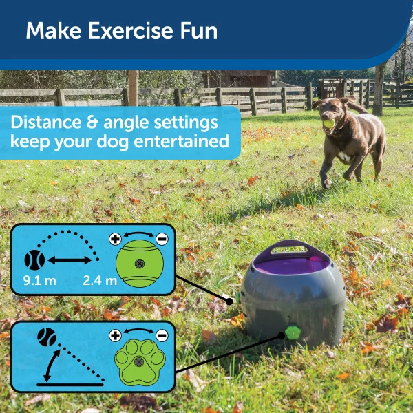 PetSafe® Automatic Ball Launcher