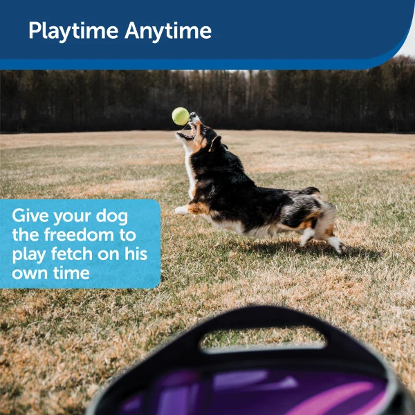 PetSafe® Automatic Ball Launcher