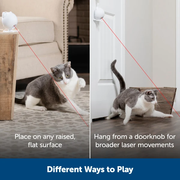 PetSafe® Dancing Dot™ Laser Cat Toy