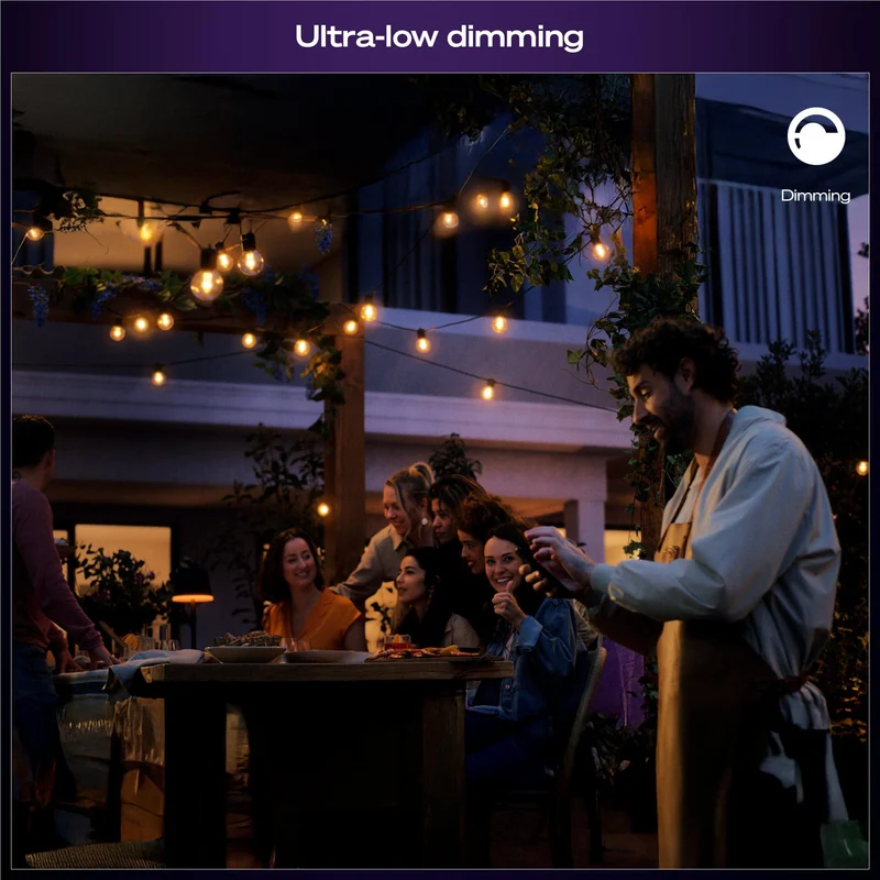 Philips Hue Festavia Hue 20 Bulb Globe String Lights (14m)