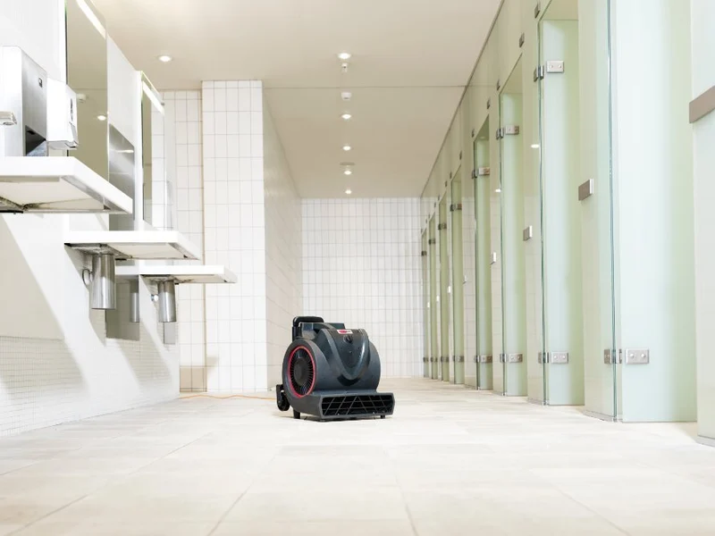 Souffleur de moquette VIPER BV3