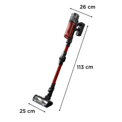 Rowenta Aspirateur balai X-Force Flex 13.60 Kit Animal