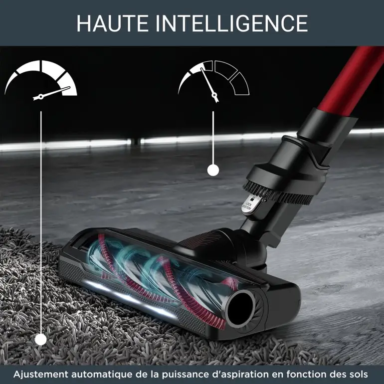 Rowenta Aspirateur balai X-Force Flex 9.60 Kit Animal