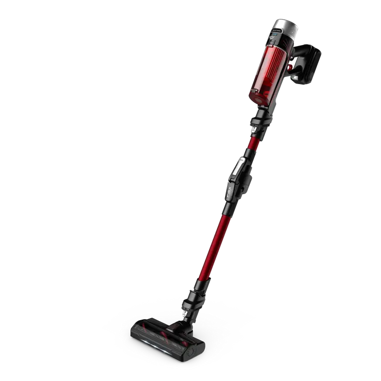 Rowenta Aspirateur balai X-Force Flex 9.60 Kit Animal