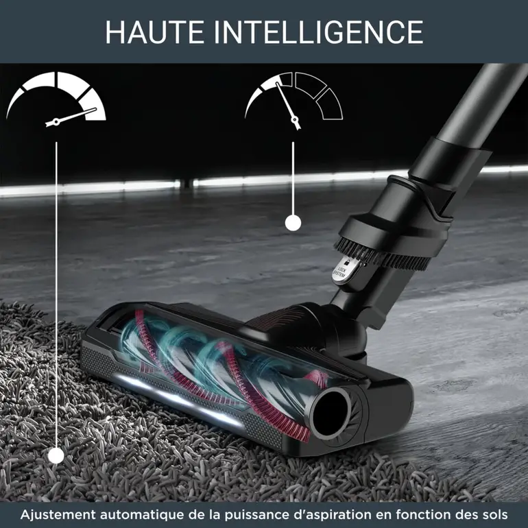 Rowenta Aspirateur balai X-Force Flex 9.60 Kit Animal