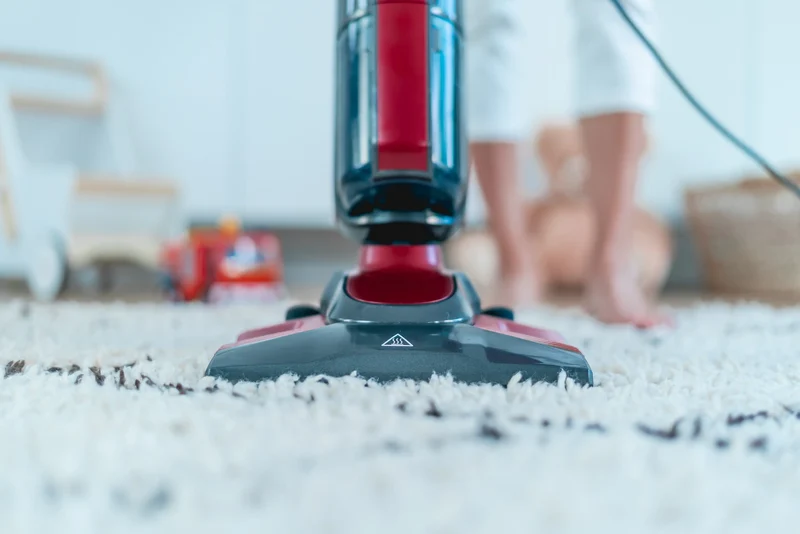 Eziclean Aspirateur vapeur Cyclosteam P320
