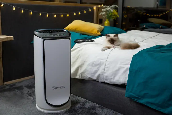 Rowenta Purificateur d'air Intense Pure Air