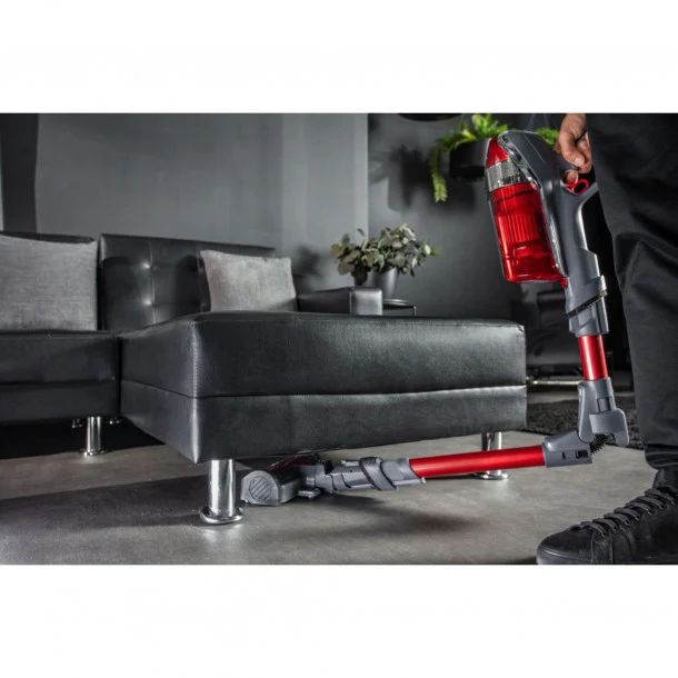 Rowenta X-Force Flex 11.60 Animal Kit