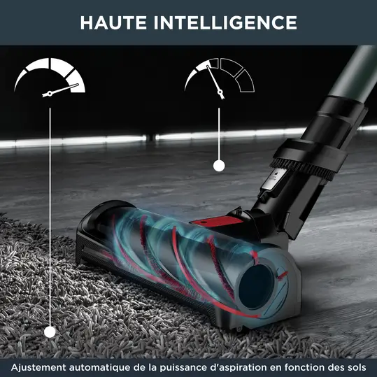 Rowenta X-Force Flex 12.60 Animal Kit