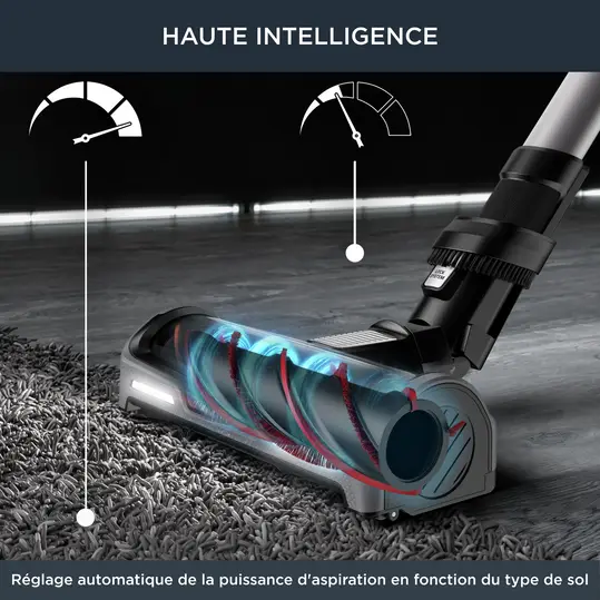Rowenta X-Force Flex 14.60